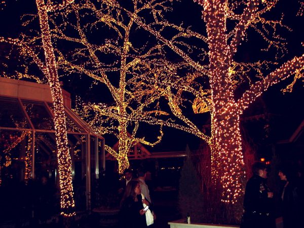 Christmas Lights Trees NYC