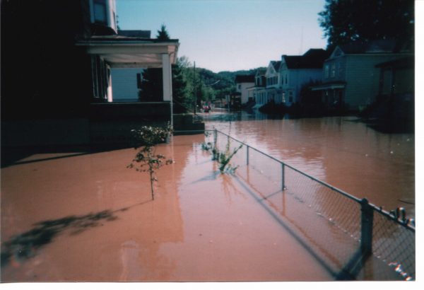 Whg Island - 2004 flood - 2 - Lynne Walton