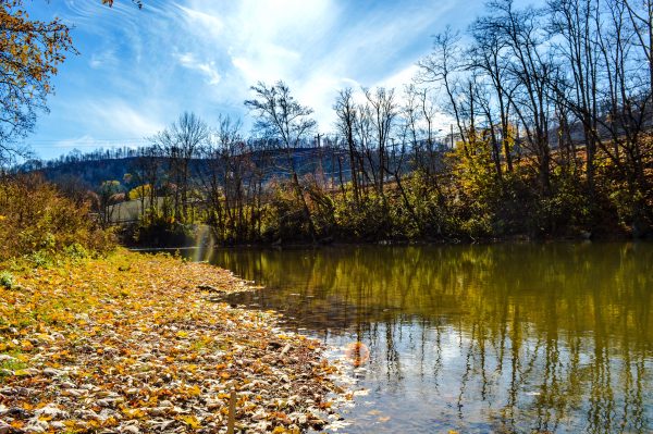 Elm Grove residents have the chance to enjoy Big Wheeling Creek near the Patterson recreational complex.