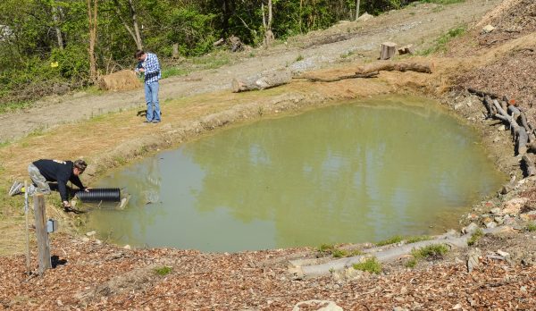 As a part of the project, Grow Ohio Valley wishes to capture water run-off in order to use during the growing process.