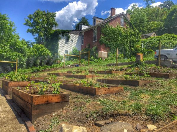 The North Wheeling Community Garden project was completed this past Saturday.