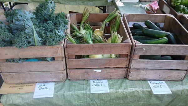 Grow Ohio Valley now has more than 20 different vegetables for sale each week.