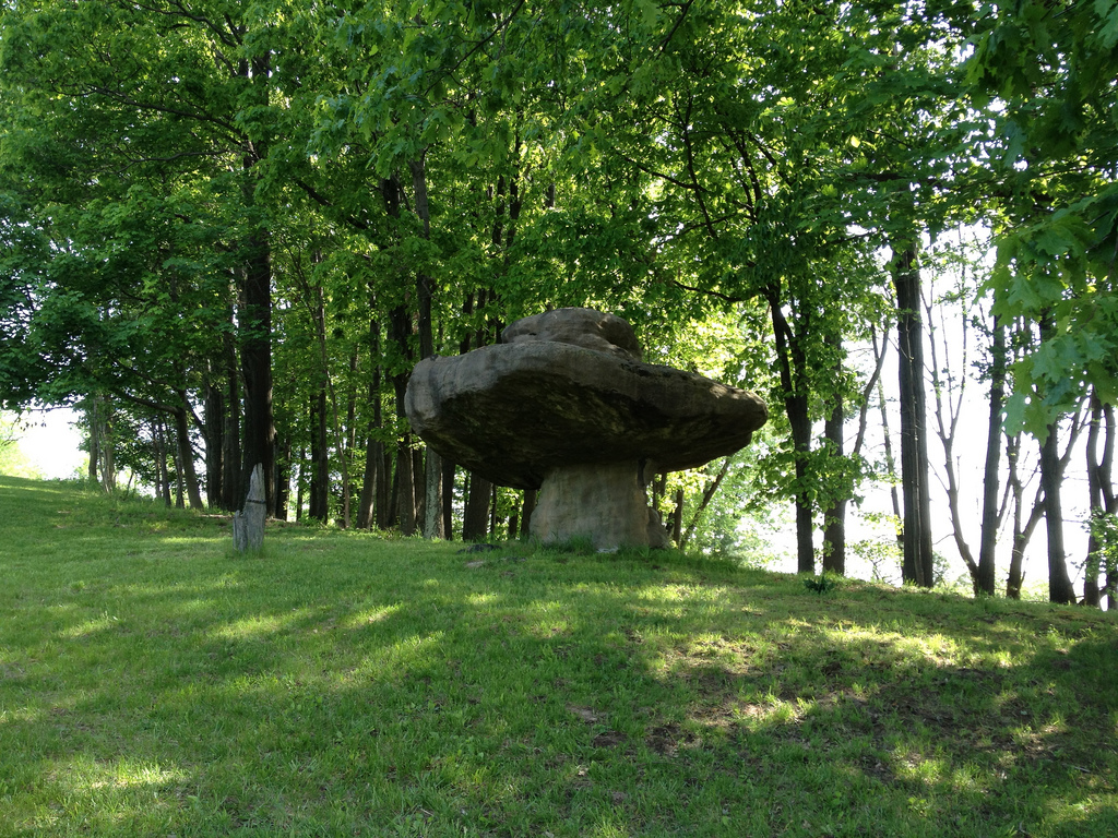 For Sale Table Rock Farm Weelunk