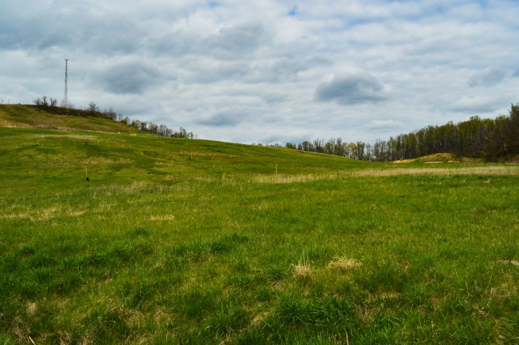 Officials Studying Reuse of Old Wheeling Landfill Weelunk