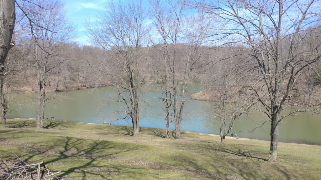 ONE TANK TRIPS Tomlinson Run State Park Weelunk