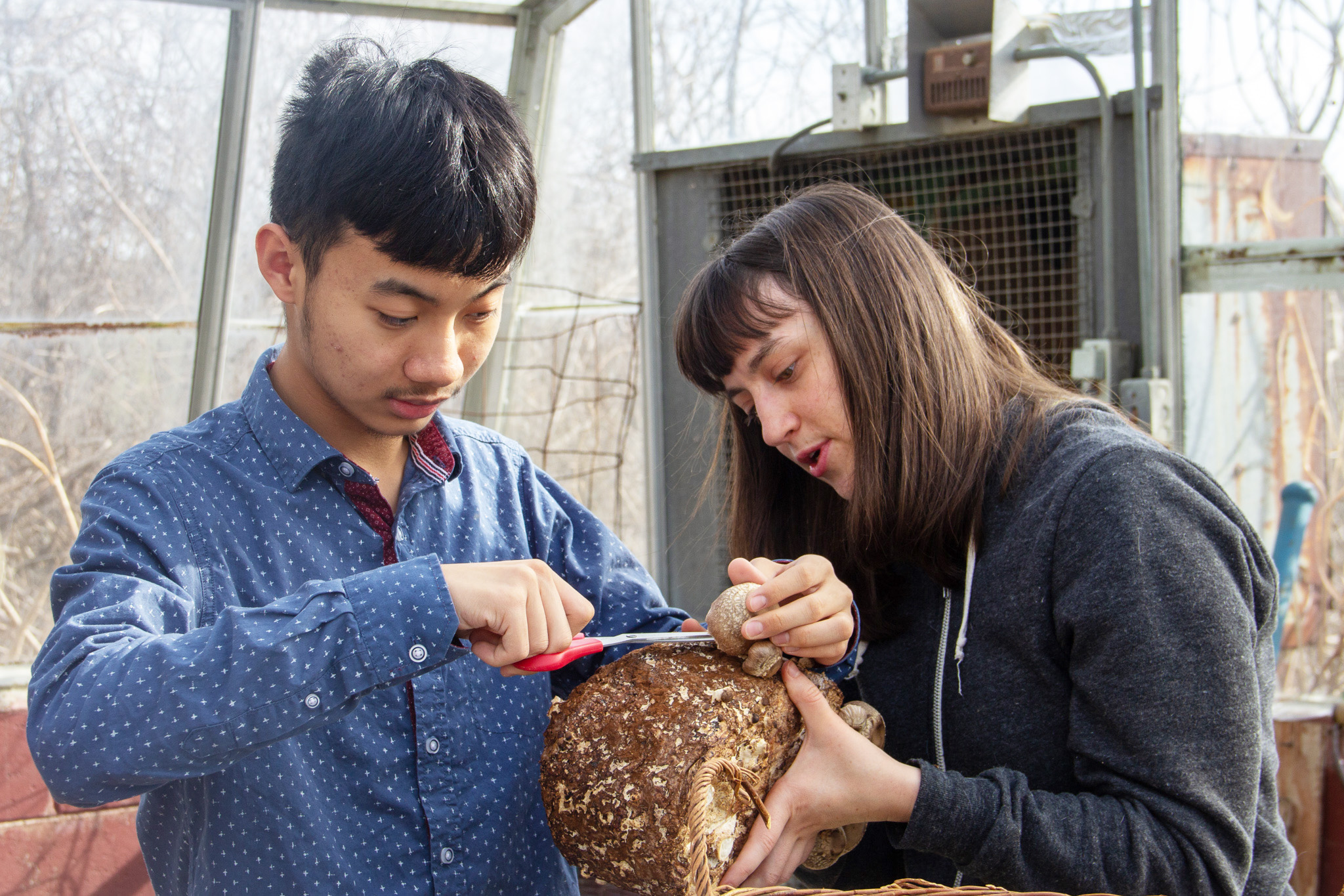 A Progressive Education in Our Backyard: Olney Friends School - Weelunk