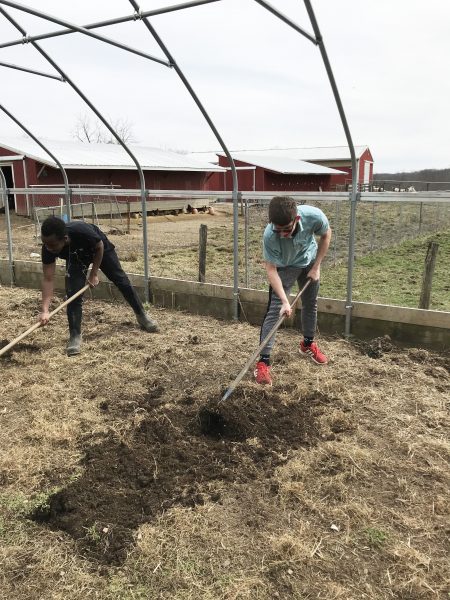 Two students working at the farm at Olney Friends School.