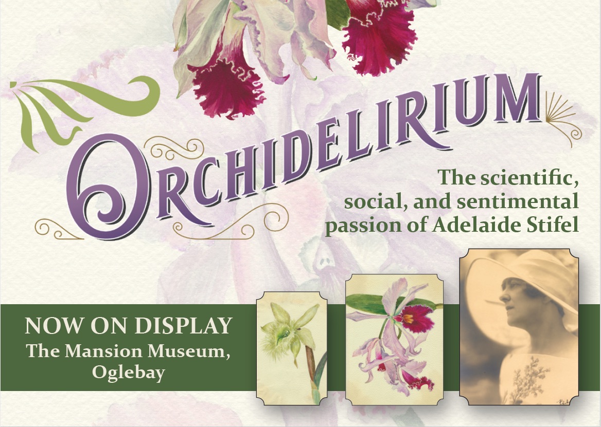 orchid exhibit Oglebay Institute