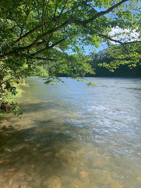 Greenbriar River