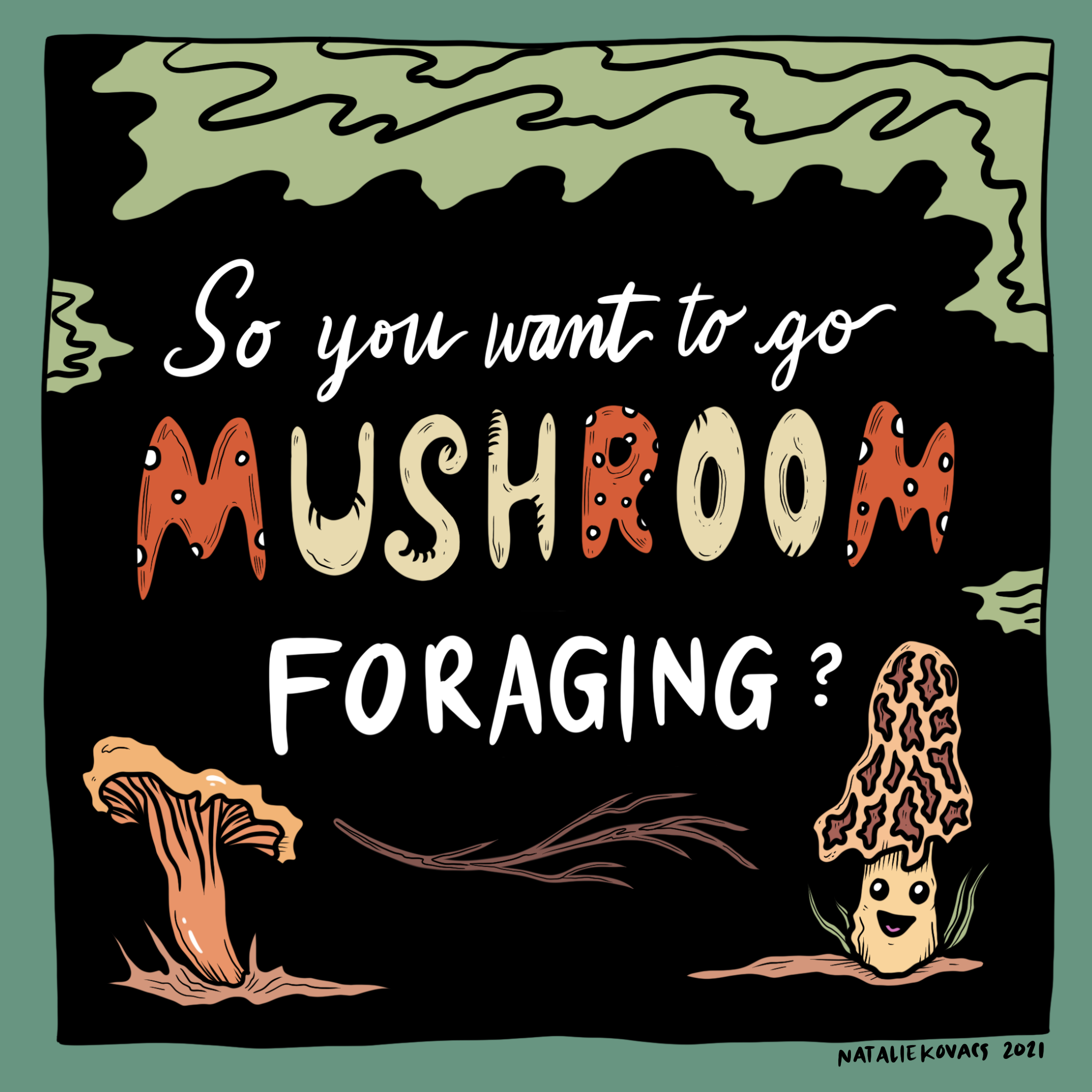 So, you want to go mushroom foraging?
