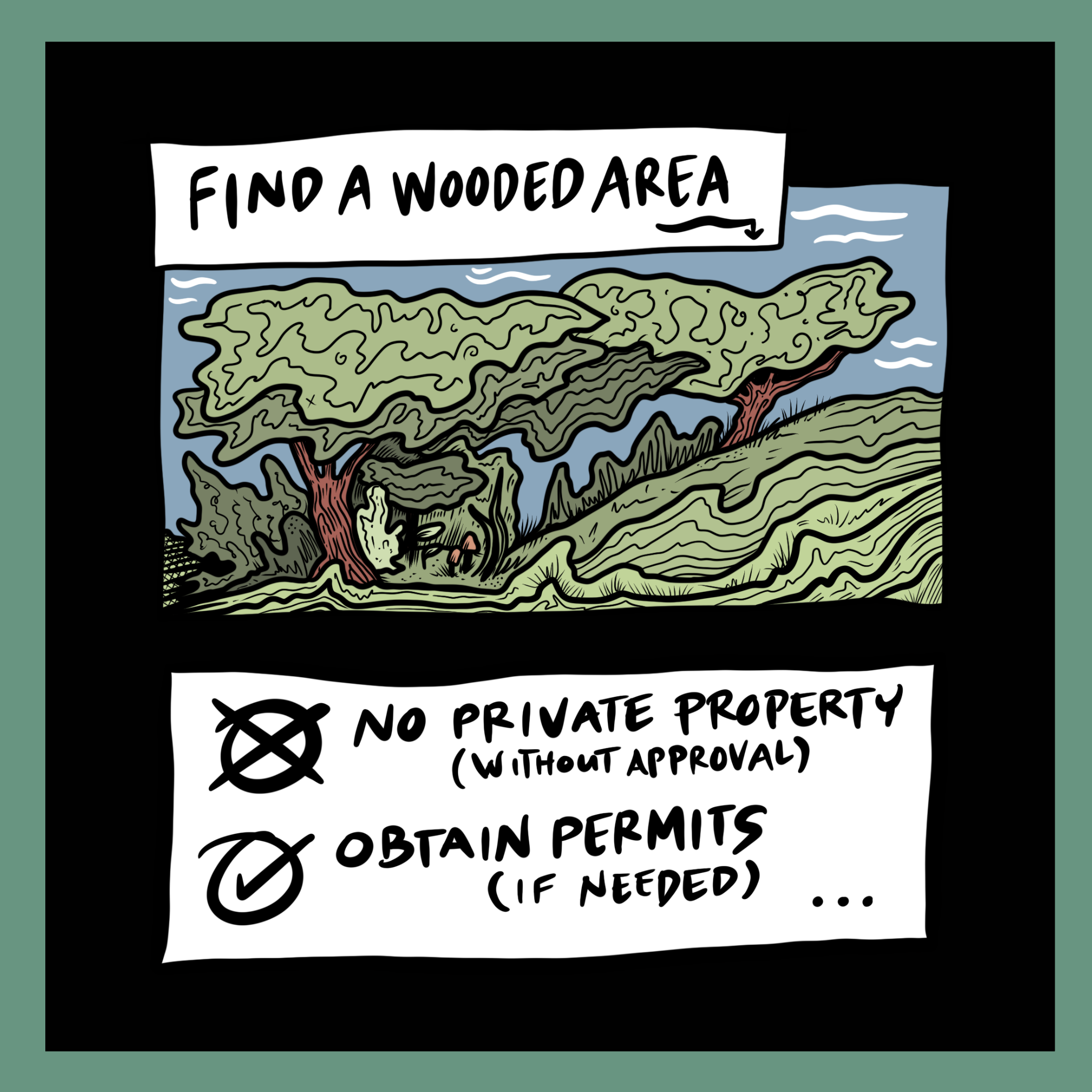 Find a wooded area. No private property (without approval). Obtain permits (if needed).