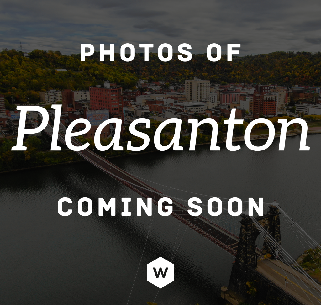 Pleasanton Landing Page