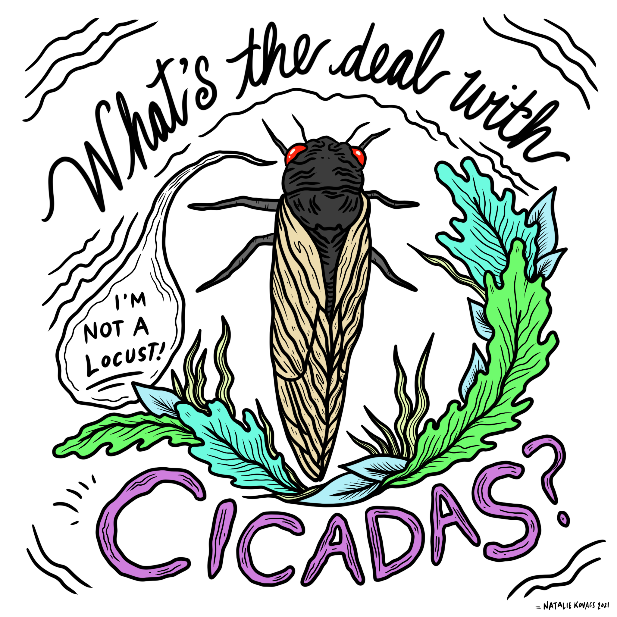 What’s the deal with Cicadas? I’m not a locust!