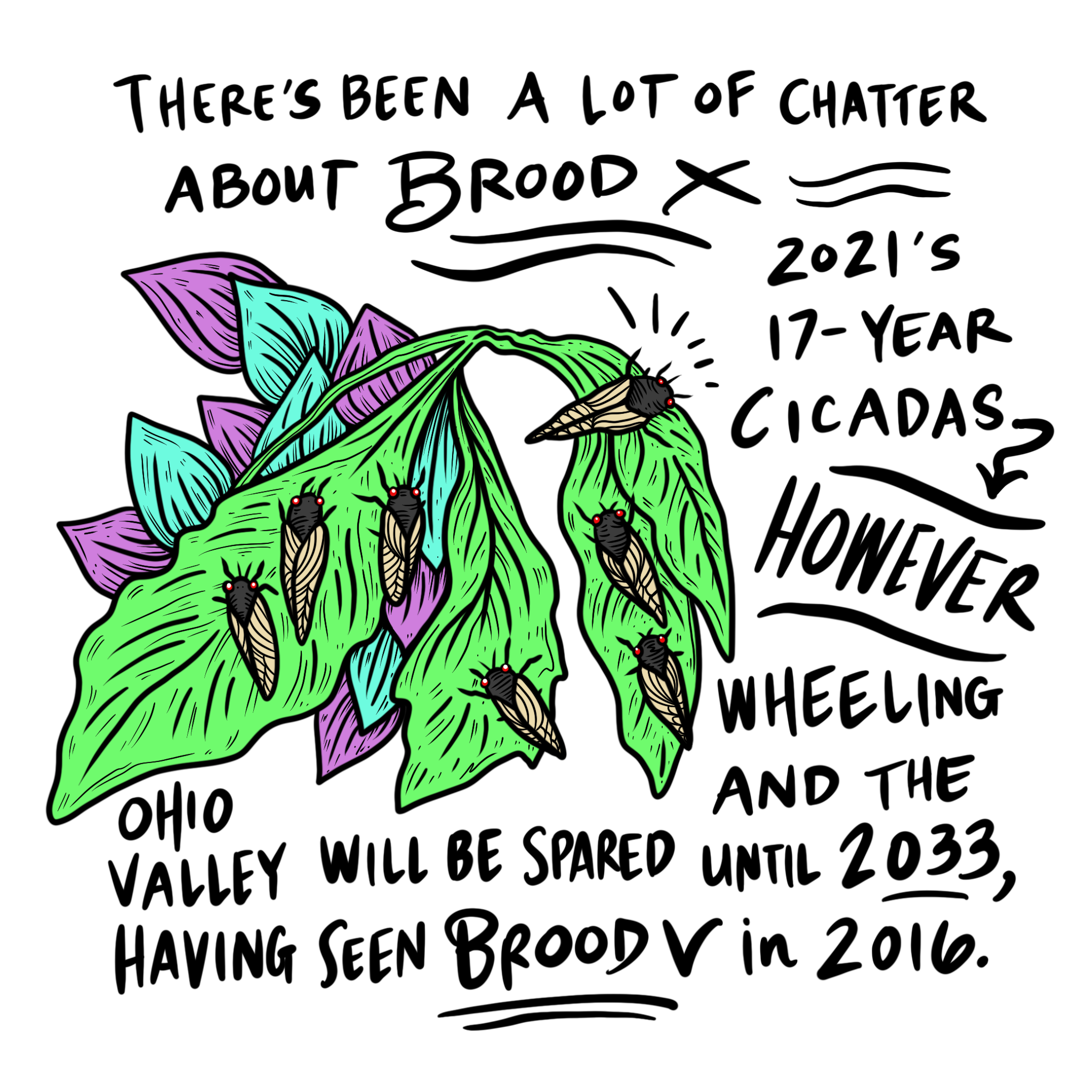 There’s been a lot of chatter about Brood X, 2021’s 17-year cicadas. However, Wheeling and the Ohio Valley will be spared until 2033, having seen Brood V in 2016.