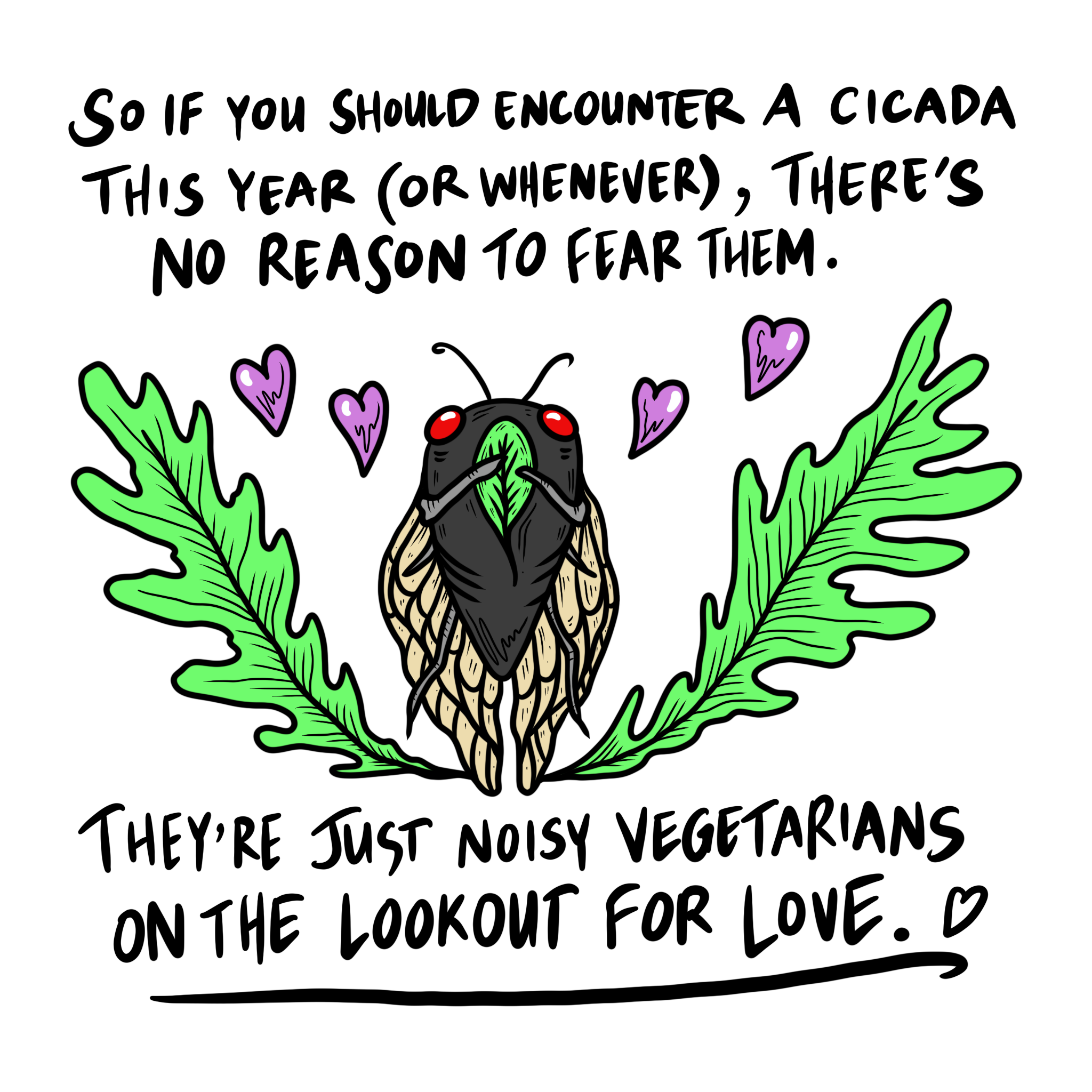 So if you should encounter a cicada this year (or whenever), there’s no reason to fear them. They’re just noisy vegetarians on the lookout for love.