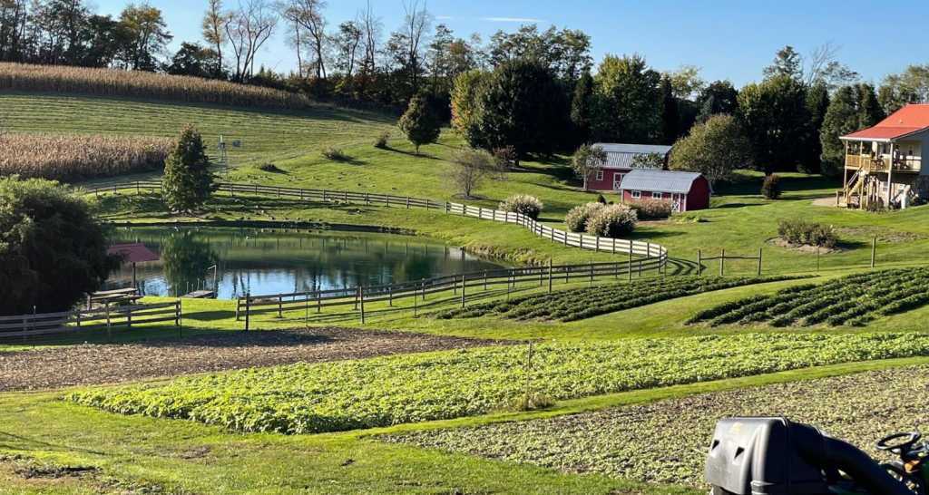 This Local Farmer Transformed His Homestead Into a Fall Destination