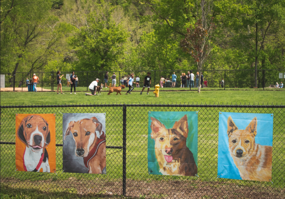 Exploring Wheeling's Dog Parks A Guide for Canine Lovers Weelunk