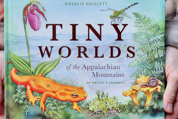 Rosalie Haizlett Tiny Worlds of the Appalachian Mountains Book