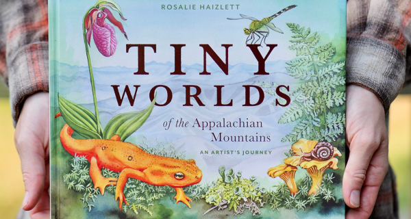 Rosalie Haizlett Tiny Worlds of the Appalachian Mountains Book